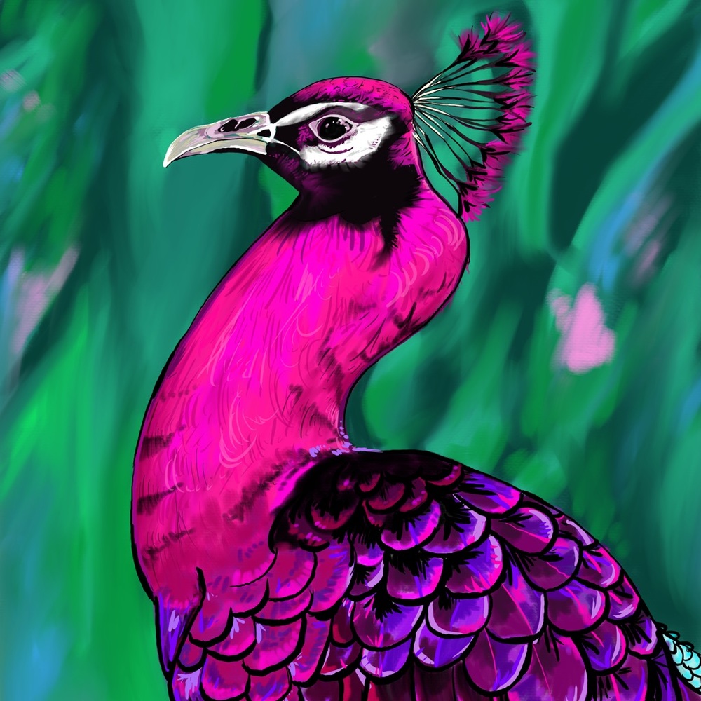 Meet your Posher, Jenna